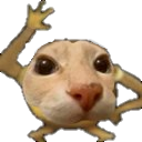 dosepotsinorejas