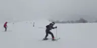 FellOff emote