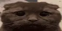 (