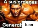 ASusOrdenesGeneralJuan emote