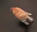 catSpin