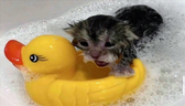 STINKY emote