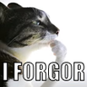forgor emote