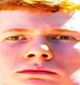 zoW emote