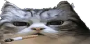 koTaaru