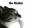 thinker emote