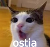 ostia emote