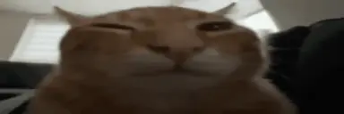 seventv_01JM3EW921MWYY3G8TE587WCVA