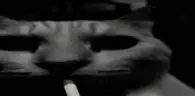 Smokerge emote