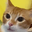 catPOG