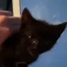 Hello emote