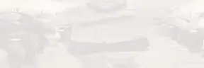 druskiDance2 emote