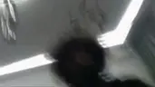 shot emote