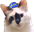 vargFofa