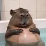 iavys emote
