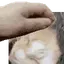 PETTHEANYA