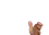 rant0