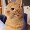 Chomp emote