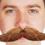 tmmStache