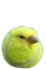 tenisbounce
