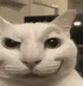 cannySilly emote