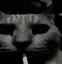 smokeDespair
