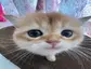 :3