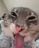 silly emote