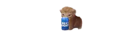 DUIbert emote