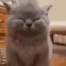 chilling emote