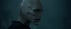 Valdemort emote