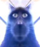 Omega92 emote