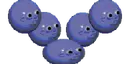 NubbyGang