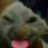 xdf emote