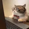 Rudionee emote