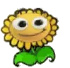sunflaga emote