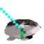 wawaJedi