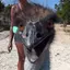stompChomp
