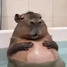 Chill emote