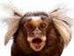 POGGERS