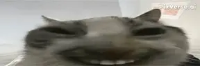 JEH emote