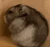 knivenSAD emote