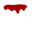 Blood