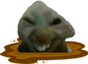 mud