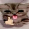 aufkatze emote