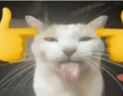 Mutei emote