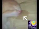 mimir emote