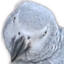 miaStare