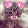 kotenok emote