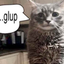 glup